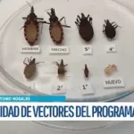 Día Mundial de la Enfermedad de Chagas: Avances y Estrategias de Prevención