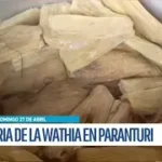 Paranturí celebra la tradicional Feria de la Huatía este 27 de abril