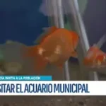 Acuario Municipal de Potosí invita a estudiantes a conocer la diversidad de especies acuáticas