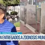 Entrega de productos enlatados para el refugio de animales: Garantizan seguridad alimentaria