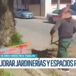 Unidad de Áreas Verdes inicia poda de árboles en diferentes zonas de Potosí, mayo de 2025