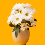 Clouds Concrete Field Grass