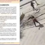 Periodistas Atacados y Vehículos Destruidos en Bloqueo de Lallagua: La Prensa Denuncia Agresiones