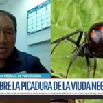 Recomiendan medidas de prevención ante presencia de arañas en hogares potosinos