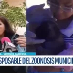 Municipio anuncia campaña masiva de vacunación antirrábica este 29 del mes