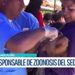SEDES POTOSÍ INICIA CAMPAÑA DE VACUNACIÓN ANTIRRÁBICA Y RECUERDA LA TENENCIA RESPONSABLE