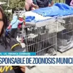 Unidad de Zoonosis iniciará construcción de nuevo edificio con infraestructura tipo hospital