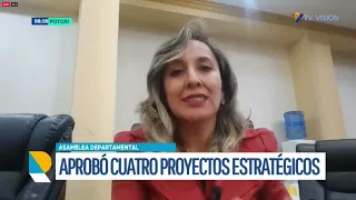 Asamblea Departamental de Potosí aprueba cuatro proyectos estratégicos para el 2026