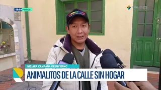 LANZAN CAMPAÑA CANINA DE INVIERNO Y LLAMAN A LA RESPONSABILIDAD DE LOS DUEÑOS DE MASCOTAS