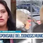 ZOONOSIS ALERTA SOBRE AUMENTO DE ATAQUES DE PERROS Y PROPONE LEY SANCIONATORIA