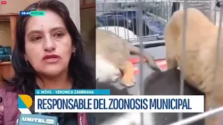 ZOONOSIS ALERTA SOBRE AUMENTO DE ATAQUES DE PERROS Y PROPONE LEY SANCIONATORIA