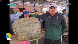 PRODUCTOR ROMPE RÉCORD CON ZAPALLO DE 98,5 KILOS EN FERIA DEL ZAPALLO QUINTALERO EN VISCACHÁ